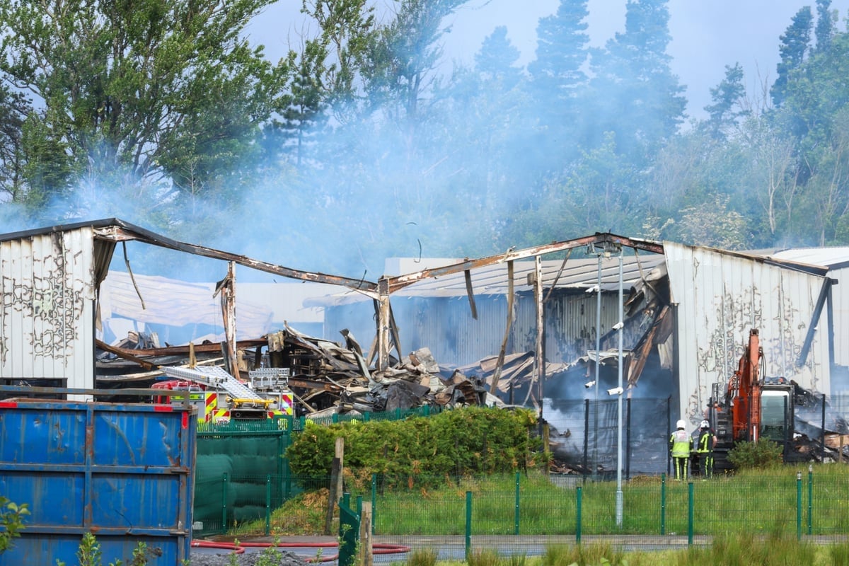 Damaged industrial building with burned debris and metal structures, surrounded by overgrown vegetation and forest in background
